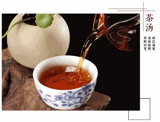 安化黑茶的“金花菌”，会不会被100℃沸水杀死？